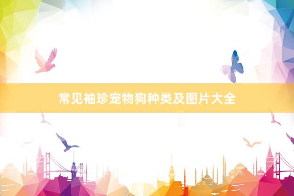 常见袖珍宠物狗种类及图片大全