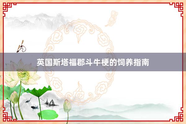 英国斯塔福郡斗牛梗的饲养指南